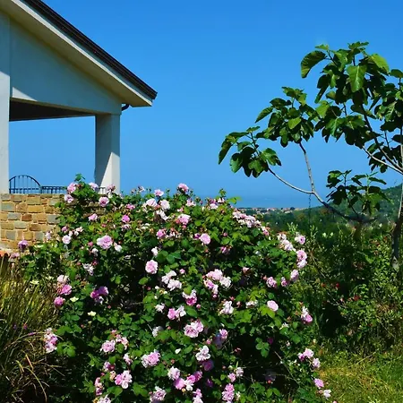 Casale Dionisia, Santa Maria Di Castellabate, Iris *