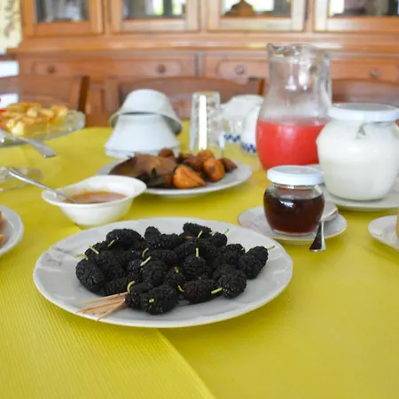 カントリーハウス Casale Dionisia, Santa Maria Di Castellabate, Iris