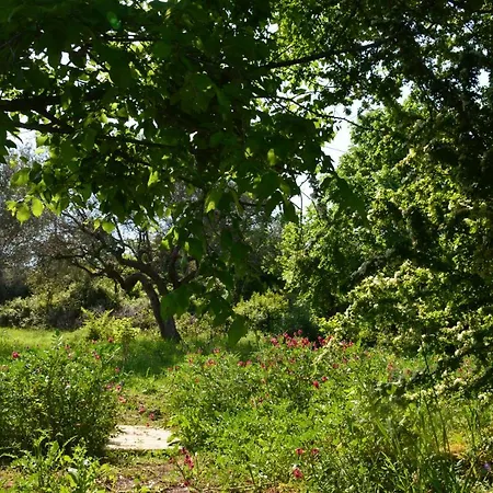 Casale Dionisia, Santa Maria Di Castellabate, Iris カントリーハウス *