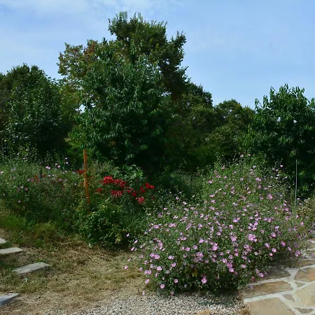 カントリーハウス Casale Dionisia, Santa Maria Di Castellabate, Iris カステッラバーテ