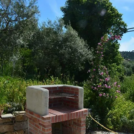Casale Dionisia, Santa Maria Di Castellabate, Iris *
