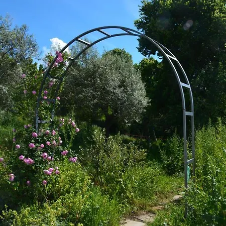 カントリーハウス Casale Dionisia, Santa Maria Di Castellabate, Iris カステッラバーテ